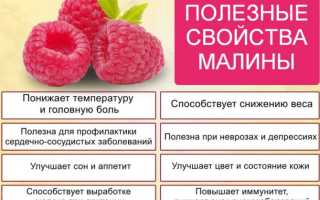 Малиновое варенье при простуде и температуре: можно или нет, как употреблять