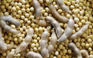 17 продуктов, которых следует избегать кормящей маме