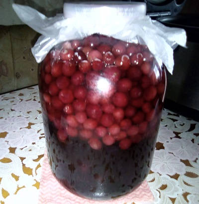 Домашняя настойка на клюкве