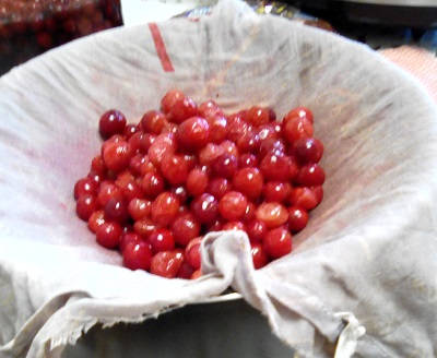 Домашняя настойка на клюкве