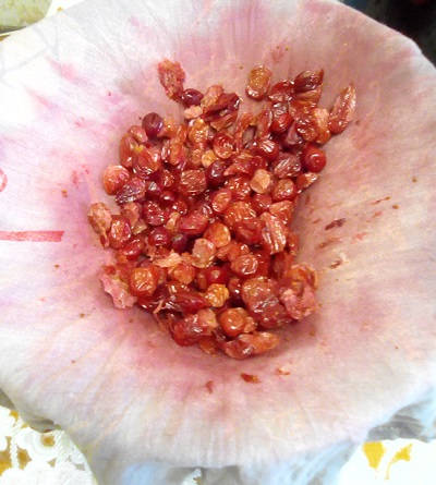 Домашняя настойка на клюкве