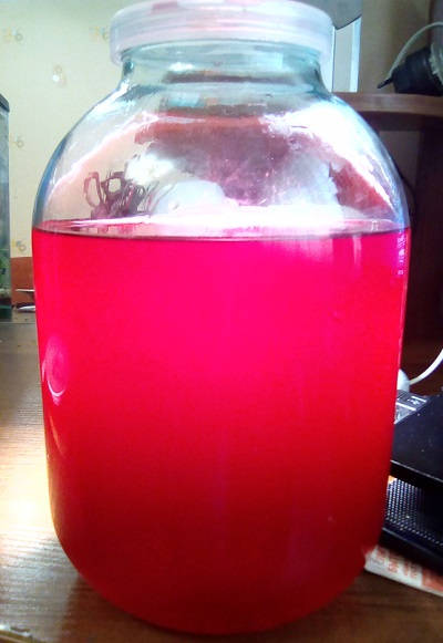 Домашняя настойка на клюкве