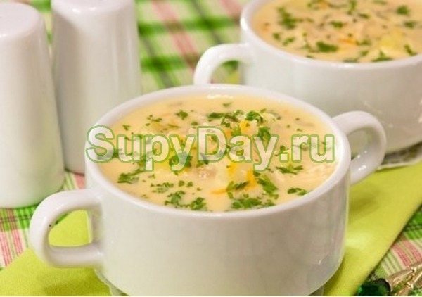 Грибной суп с мясом - крем суп из шампиньонов