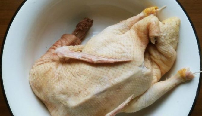 Гусь в духовке: рецепты запекания вкусного гуся, чтобы мясо было мягким и сочным этап 4