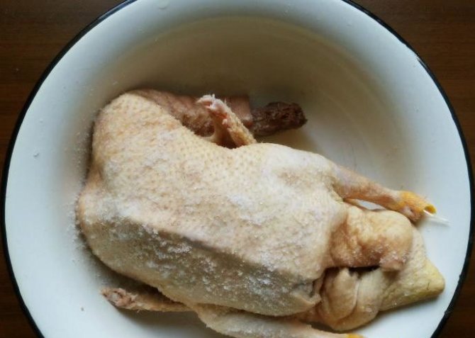 Гусь в духовке: рецепты запекания вкусного гуся, чтобы мясо было мягким и сочным этап 5