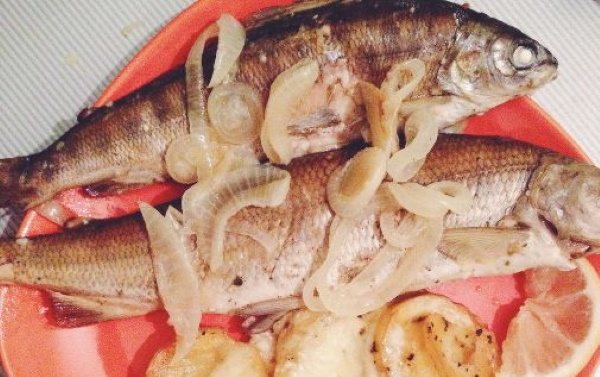 Хариус рыба. Фото, описание, рецепт в духовке, на сковороде, соленый, копченый, вяленый