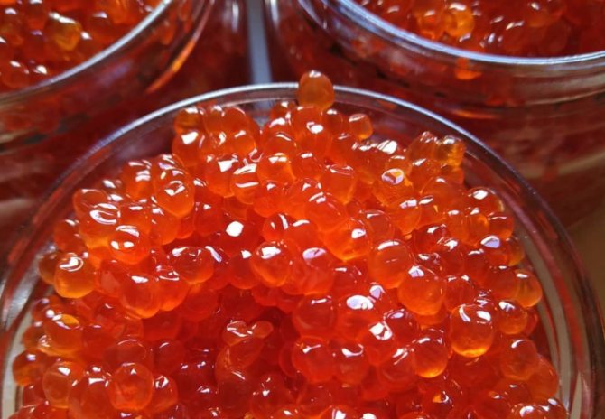 Икра горбуши