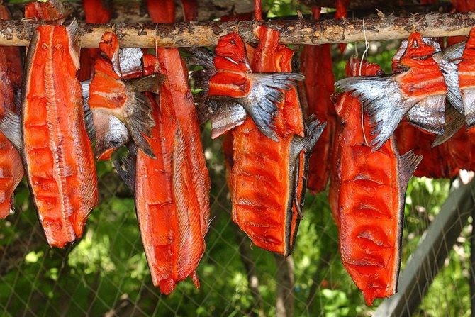 изготовление балыка