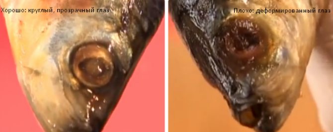 как посолить селедку в домашних условиях вкусно