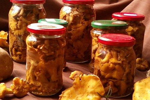 Как солить лисички в банках на зиму