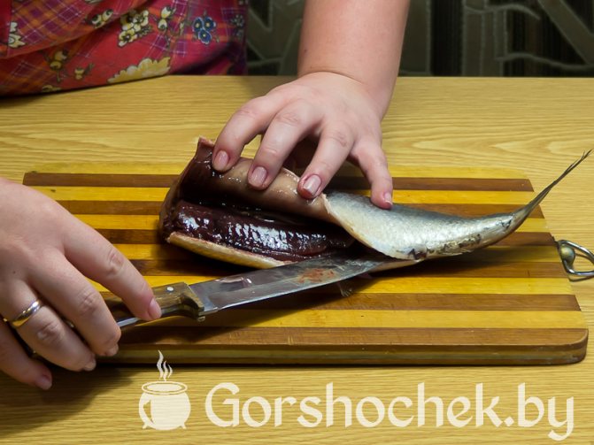 Как засолить селёдку в домашних условиях делаем надрез от головы до хвоста