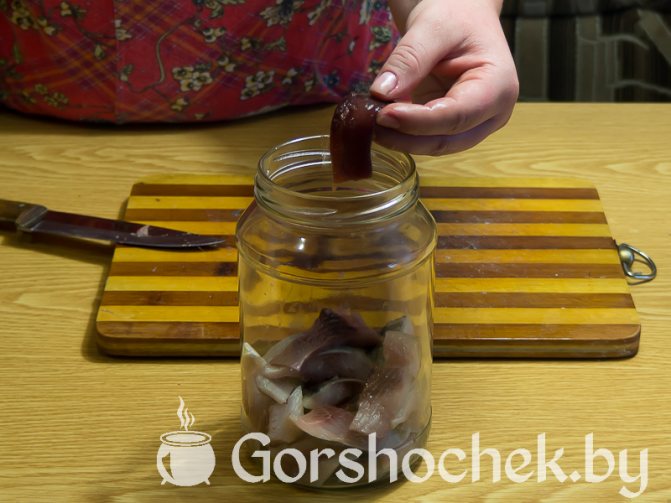 Как засолить селёдку в домашних условиях филе укладываем в банку