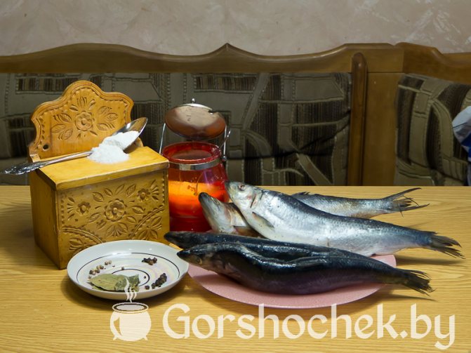 Как засолить селёдку в домашних условиях ингредиенты