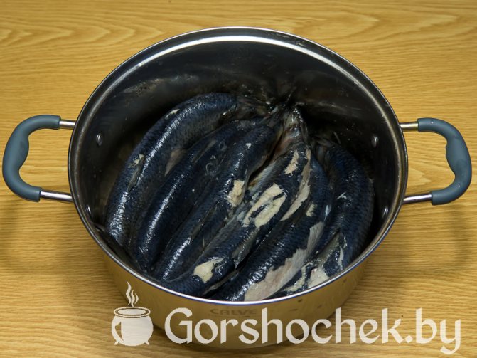 Как засолить селёдку в домашних условиях селёдку размораживаем