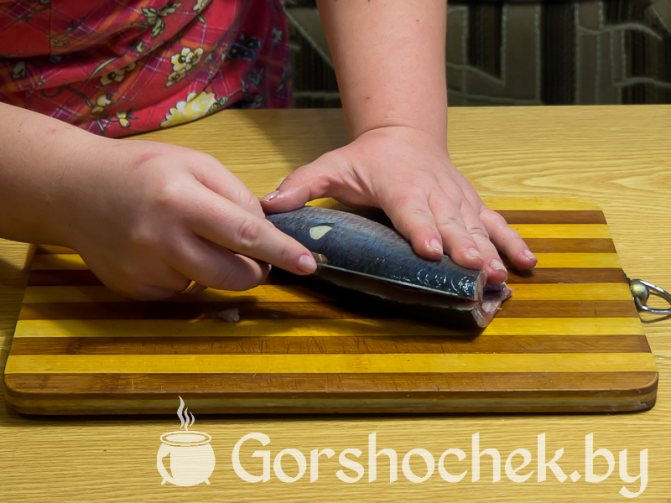 Как засолить селёдку в домашних условиях у нас остался хребет