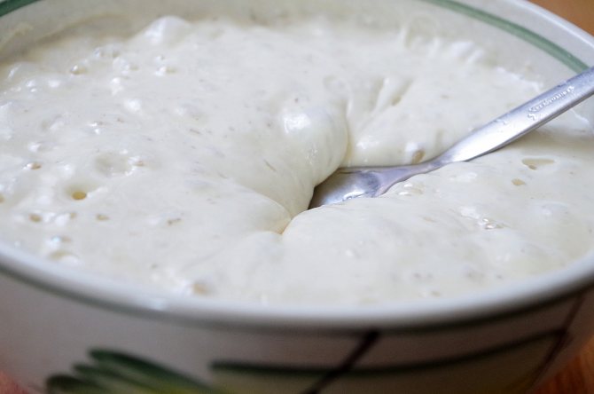 Картинки по запросу опара