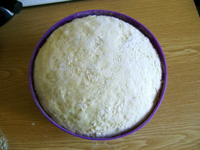 Картинки по запросу тесто подошло