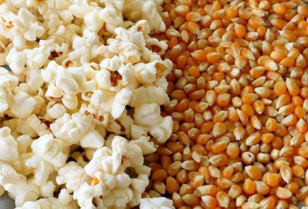 кукуруза и попкорн