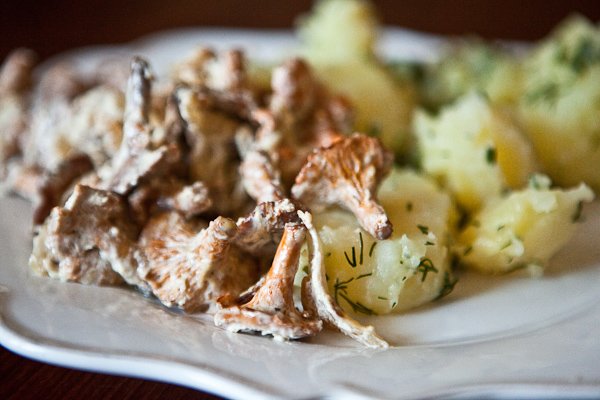 Лисички жареные со сметаной