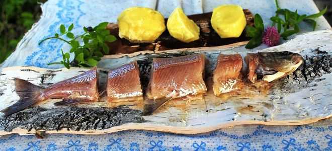 малосольный хариус