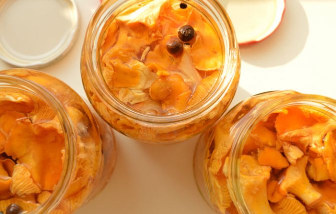 Маринад для лисичек