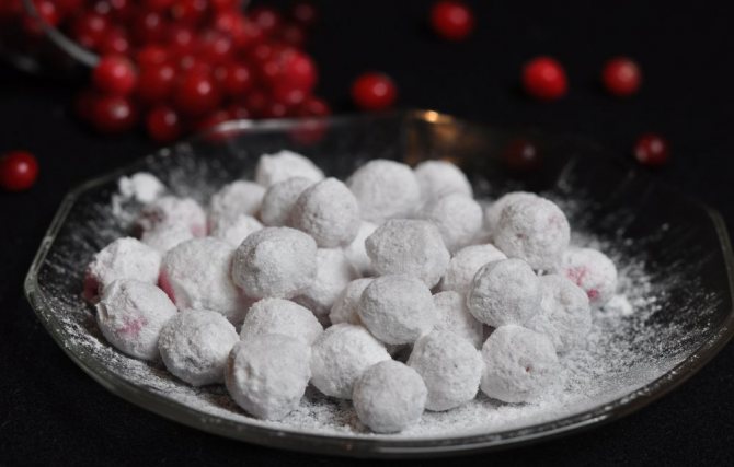 Настойка на клюкве с водкой и спиртом в домашних условиях: пошаговые рецепты