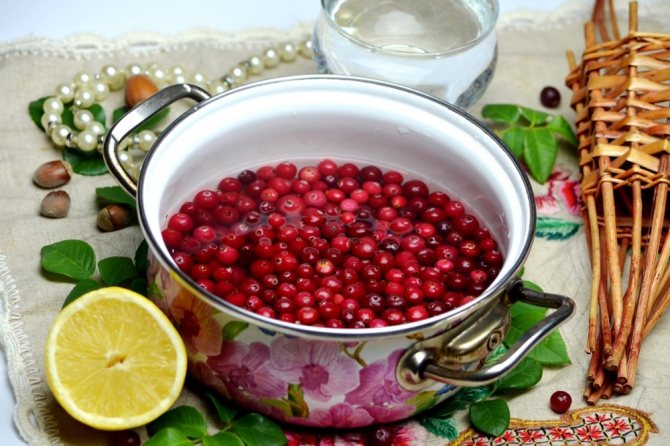 Настойка на клюкве с водкой и спиртом в домашних условиях: пошаговые рецепты
