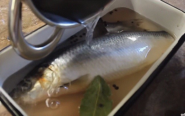 Очень вкусная сельдь, соленая в рассоле фото