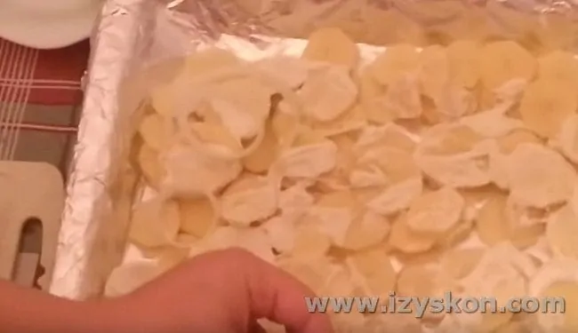 Поверх сметаны раскладываем лук.