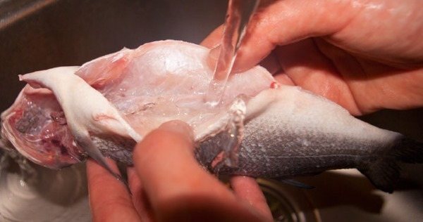 Скумбрия в мультиварке. Рецепт приготовления в фольге, рукаве, на пару с овощами