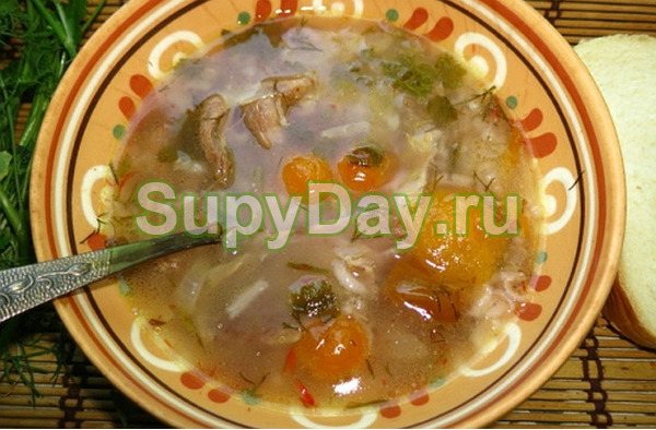 Суп на баранине с алычей