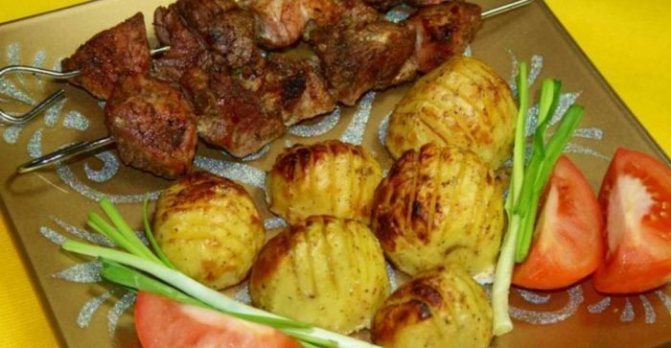 ТОП-9 лучших рецептов шашлыка в аэрогриле из свинины