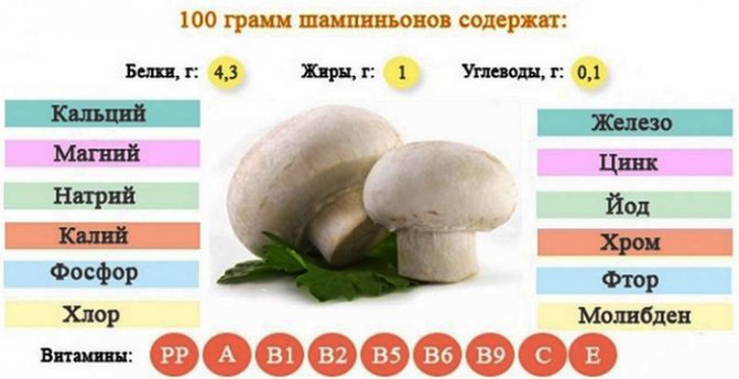 Веганское меню на неделю с рецептами. Список продуктов